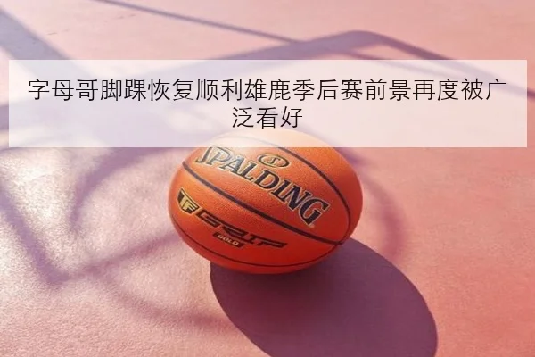 字母哥脚踝恢复顺利雄鹿季后赛前景再度被广泛看好